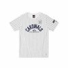 Mlb Alpha Industries Mlb X Alpha X New Era - Hoodies, Tees, & Shorts | St. Louis Cardinals X Alpha X New Era Tee White